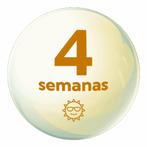 Esc. Verano 4 semanas