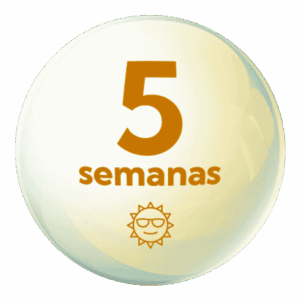 Esc. Verano 5 semanas