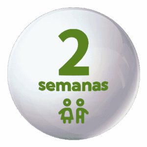 Trampolín - Esc. Verano 2 semanas